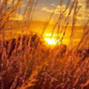 Meet your Posher, Radwan